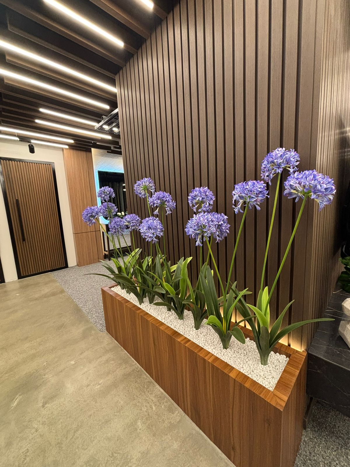 project slider image